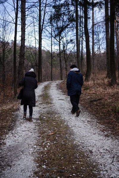Dağ ormanlarında yürüyen bir çift.
