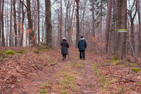 Dağ ormanlarında yürüyen bir çift.