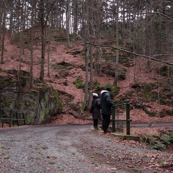Paar Auf Dem Weg Den Bergwald — Stockfoto