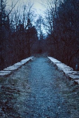 Terk edilmiş bir dağ ormanında terk edilmiş bir demiryolu viyameti.