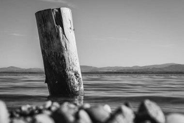 Odun yığını gölün suları tarafından yıkanmış ve arka planda tek renkli dağlar var.
