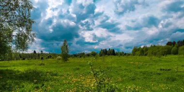 Çayır manzarası, orman ve mavi tüylü bulutlar 