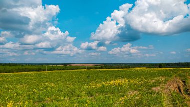 Kümülüs bulutlarının yaz aylarında tarlaların üzerindeki manzarası