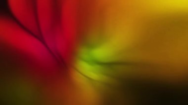 Renkli dalga gradyan animasyonu yavaş çekim arkaplanı