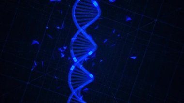 Coronavirus 2019 3d yorumlama kavramı