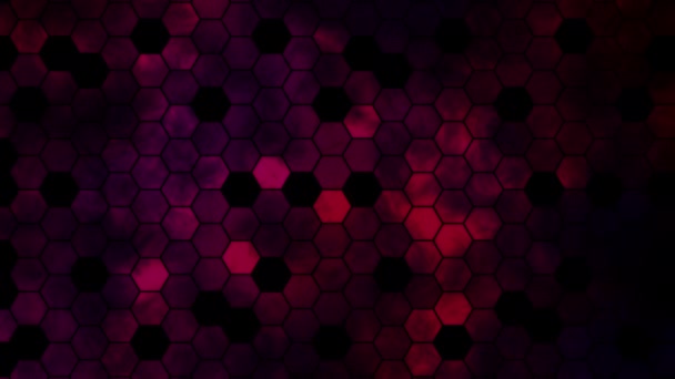 Abstract Hexagon Animation Multicolor Pattern Smooth Concept — Stock Video