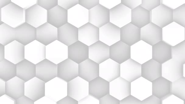 Abstract Hexagon Animation Multicolor Pattern Smooth Concept — Stock Video