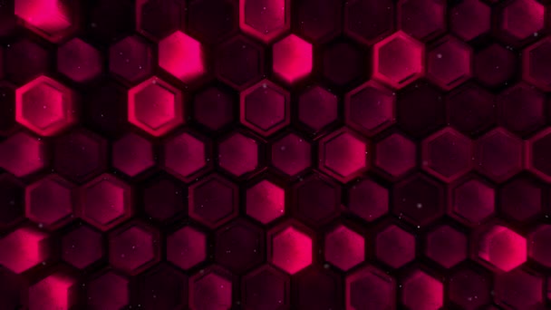 Abstract Hexagon Animation Multicolor Pattern Smooth Concept — Stock Video