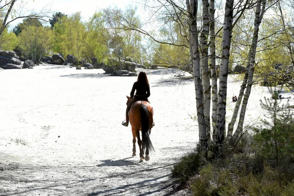 Jovem mulher equitação — Fotografia de Stock