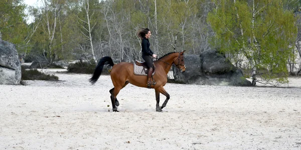 Mladá žena na koni — Stock fotografie