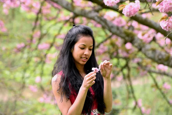 자연 공원에서 젊은 여자 — 스톡 사진