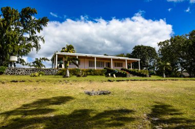 Mauritius Adası 'nda noktalı tüfekler.