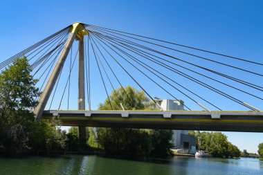 Nehirde süzülürken