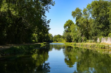 Nehirde süzülürken