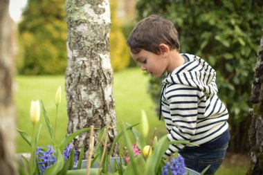 Paskalya yumurtası avında genç bir çocuk