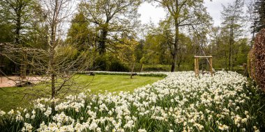 Orleans 'taki Fransız çiçek bahçesi.