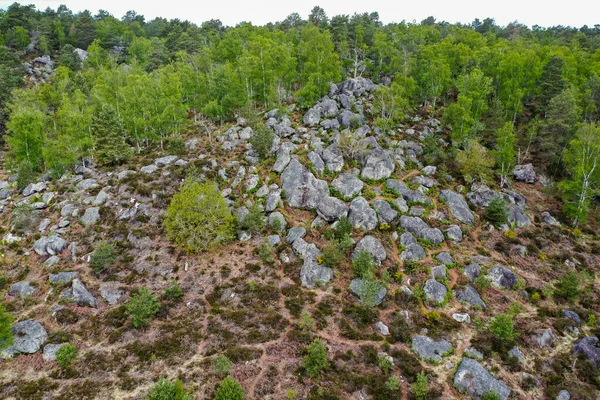aerian landscape of the apremont site in the famous fontainebleau forest