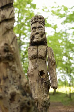 MONTARGIS - FRANSA - MAYIS 2021: Montarigs ormanında ağaç gövdesi heykeli