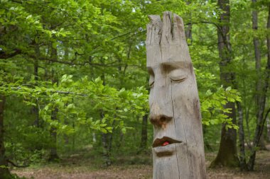 MONTARGIS - FRANSA - MAYIS 2021: Montarigs ormanında ağaç gövdesi heykeli
