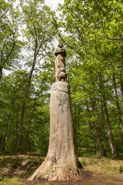 MONTARGIS - FRANSA - MAYIS 2021: Montarigs ormanında ağaç gövdesi heykeli