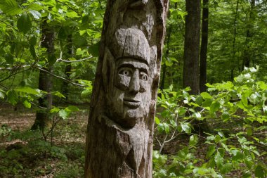 MONTARGIS - FRANSA - MAYIS 2021: Montarigs ormanında ağaç gövdesi heykeli