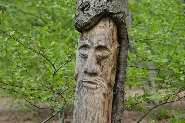 Montargis 2021年5月 Montarigs森林上的树干雕塑 — 图库照片