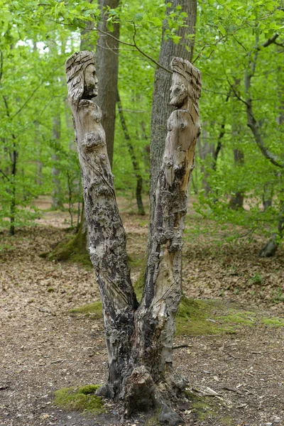 Montargis Francja Maj 2021 Rzeźba Pnia Drzewa Lesie Klasztornym — Zdjęcie stockowe