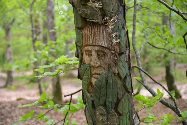 Montargis France Mai 2021 Sculpture Sur Tronc Arbre Dans Forêt — Photo