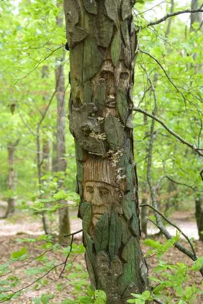 Montargis Frankreich Mai 2021 Baumstamm Skulptur Wald Von Montarigs — Stockfoto