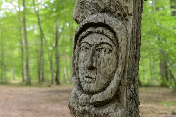 Montargis Francia Maggio 2021 Scultura Del Tronco Albero Sulla Foresta — Foto Stock