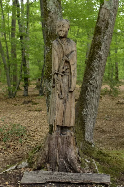 Montargis Frankreich Mai 2021 Baumstamm Skulptur Wald Von Montarigs — Stockfoto