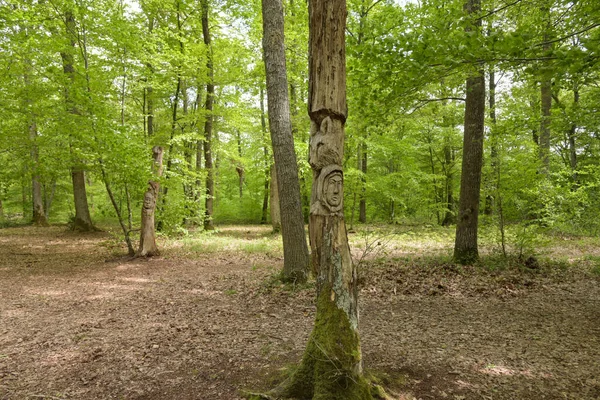 Monargis フランス 2021年5月 モンタギューの森の木の幹の彫刻 — ストック写真