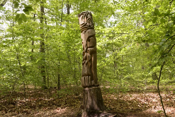 Montargis Frankreich Mai 2021 Baumstamm Skulptur Wald Von Montarigs — Stockfoto