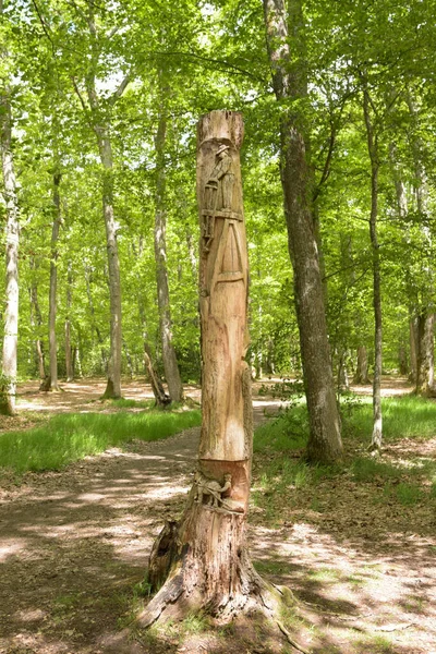 Montargis Frankreich Mai 2021 Baumstamm Skulptur Wald Von Montarigs — Stockfoto