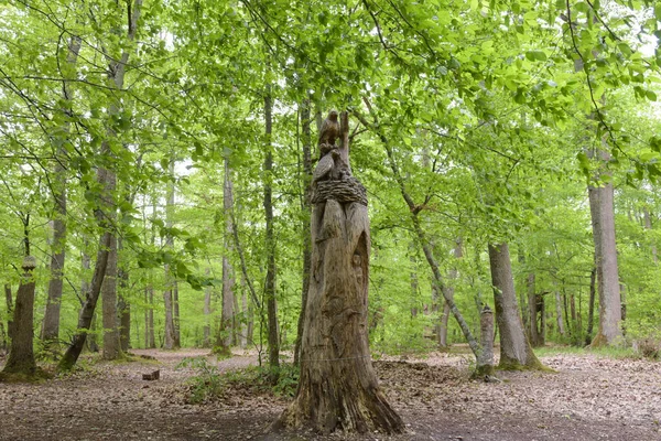 Montargis Francia Maggio 2021 Scultura Del Tronco Albero Sulla Foresta — Foto Stock