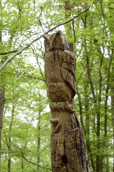 Montargis Frankreich Mai 2021 Baumstamm Skulptur Wald Von Montarigs — Stockfoto