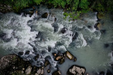 Fransa 'daki solungaçların kaynakları