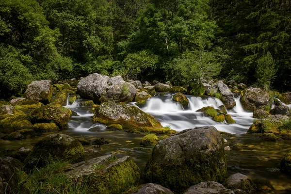 Fransa Daki Solungaçların Kaynakları — Stok fotoğraf