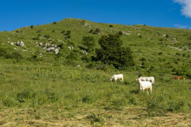 Pas of Serpaton in isere in France