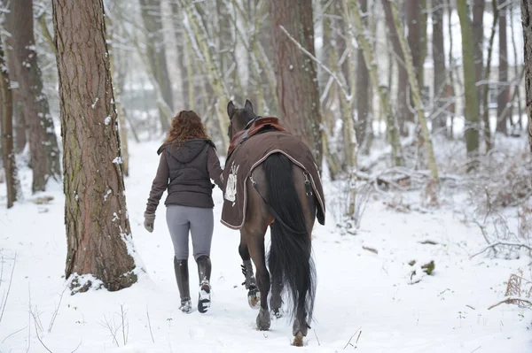 若い女性が雪の中で乗馬 — ストック写真