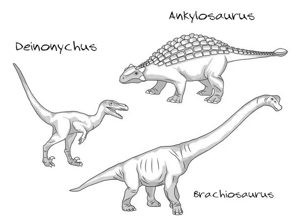 Illustrazioni in stile incisione sottile, vari tipi di dinosauri preistorici, include deinonychus, ankylosaurus, brachiosaurus — Vettoriale Stock
