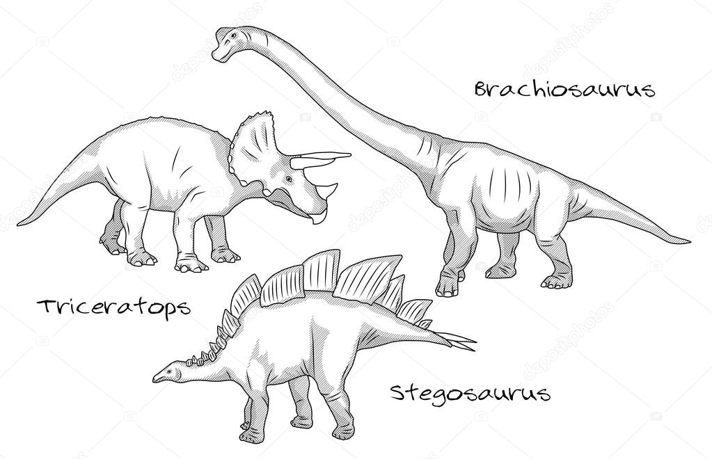 Thin line engraving style illustrations, various kinds of prehistoric dinosaurs, it includes brachiosaurus, stegosaurus and triceratops.