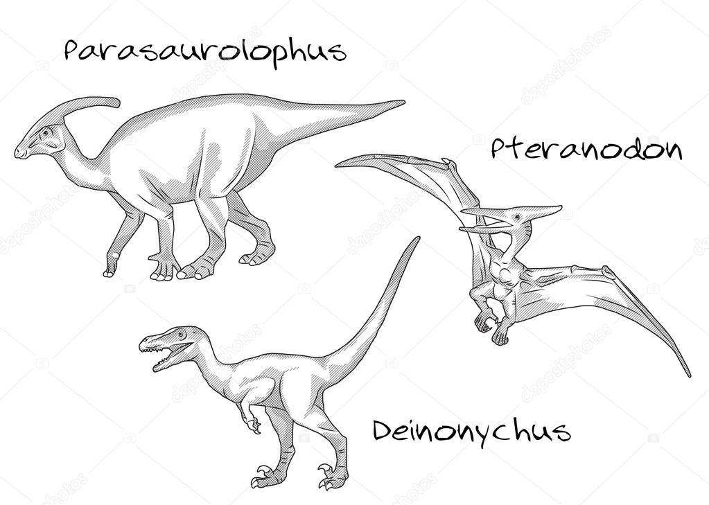 Thin line engraving style illustrations, various kinds of prehistoric dinosaurs, it includes parasaurolophus, pteranodon, deinonychus