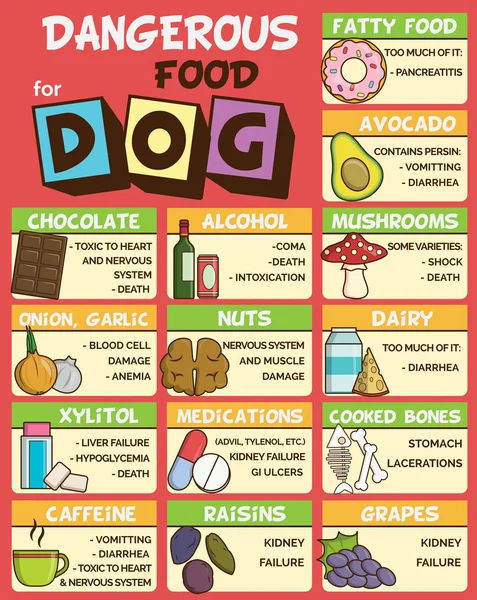 Köpekler için tehlikeli gıda
