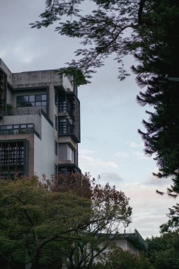 Uzak bir bina, parktaki ağaç gövdeleri ve dallardan görülür. Şehir mimarisini sakin bir açık hava ortamında doğal yeşillikle harmanlarlar..