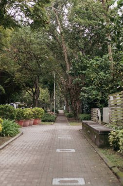 Parkta, yemyeşil ve yumuşak doğal ışıklarla çevrili, sakin bir açık hava atmosferi yaratan, ağaçlarla kaplı, huzurlu bir patika..