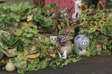 Bitkilerle, dekoratif figürlerle, doğa ve oyuncu tasarım unsurlarını birleştiren yaratıcı bir minyatür bahçe gösterisi..