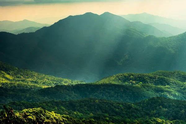 Dağ orman gökyüzü peyzaj