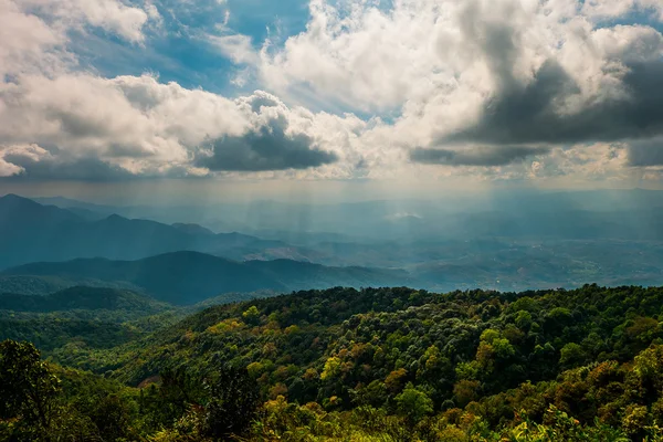 Dağ orman kurnaz peyzaj