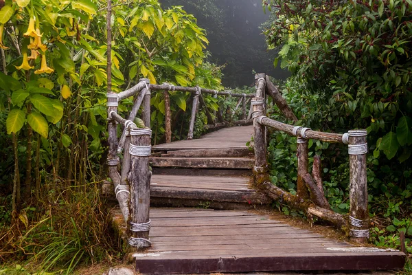 Ahşap yol yol — Stok fotoğraf